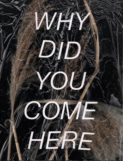 Why Did You Come Here